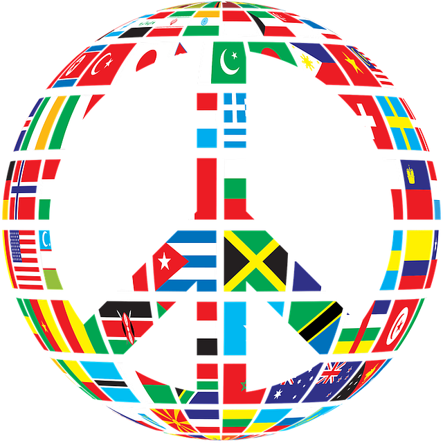Incorporating Virtual Exchange into Healthcare Education Can Contribute to Global Peace
